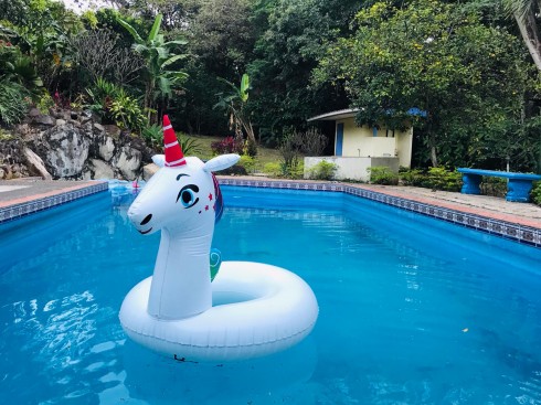 Hermosa Quinta en Atenas a Excelente Precio, con Amplia Casa con acabados de lujo, Piscina, Amplias y hermosas zonas verdes, Jardines,2 Ranchos para fiestas, en Zona de Alta Plusvalía, a 20 minutos de San José, Lujo y Diversión para su Familia o Empresa a un excelente precio, Invierta Ya!! 5294