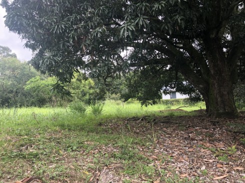 OPORTUNIDAD, 2 Lotes en residencial exclusivo, a 5min de Forum II, Cerca de Terrazas Lindora, 1,102m2 y 1,050m2. Se venden juntos o separados $160 usd x m2 COD. 6202