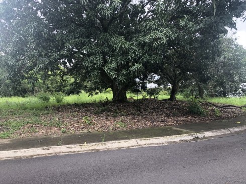 OPORTUNIDAD, 2 Lotes en residencial exclusivo, a 5min de Forum II, Cerca de Terrazas Lindora, 1,102m2 y 1,050m2. Se venden juntos o separados $160 usd x m2 COD. 6202