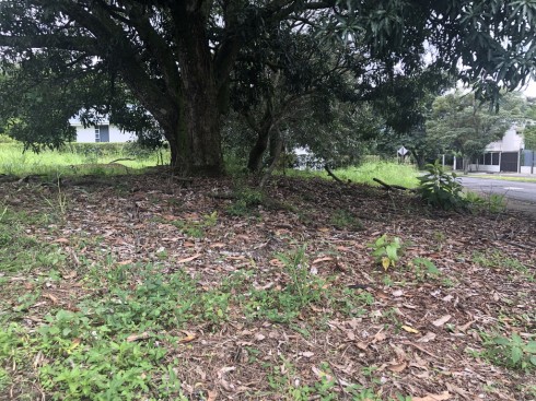 OPORTUNIDAD, 2 Lotes en residencial exclusivo, a 5min de Forum II, Cerca de Terrazas Lindora, 1,102m2 y 1,050m2. Se venden juntos o separados $160 usd x m2 COD. 6202