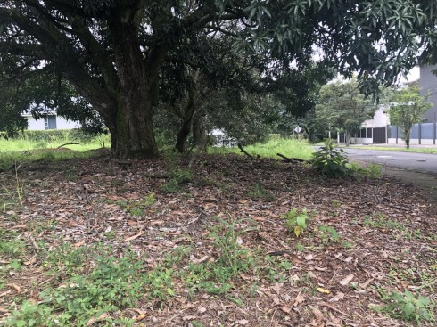 OPORTUNIDAD, 2 Lotes en residencial exclusivo, a 5min de Forum II, Cerca de Terrazas Lindora, 1,102m2 y 1,050m2. Se venden juntos o separados $160 usd x m2 COD. 6202