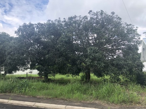 OPORTUNIDAD, 2 Lotes en residencial exclusivo, a 5min de Forum II, Cerca de Terrazas Lindora, 1,102m2 y 1,050m2. Se venden juntos o separados $160 usd x m2 COD. 6202