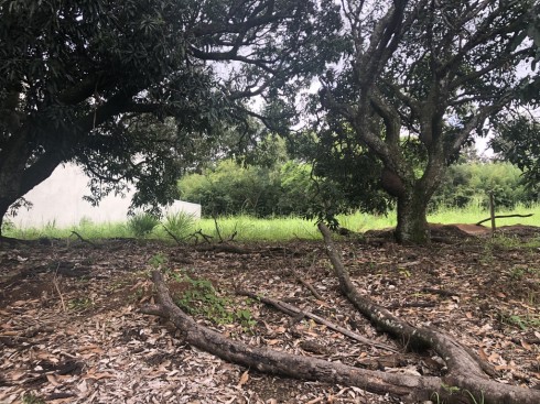 OPORTUNIDAD, 2 Lotes en residencial exclusivo, a 5min de Forum II, Cerca de Terrazas Lindora, 1,102m2 y 1,050m2. Se venden juntos o separados $160 usd x m2 COD. 6202