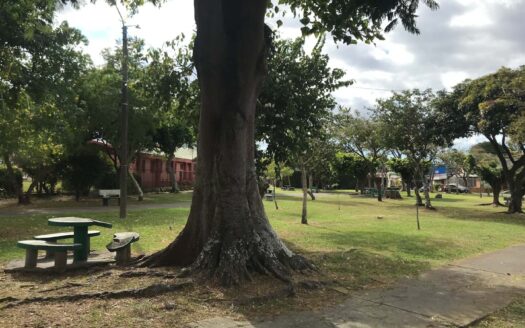 Casa en Zapote USO DE SUELO MIXTO: Amplia, cómoda y bien ubicada, ¡ideal para tu familia o Negocio! cod.5864