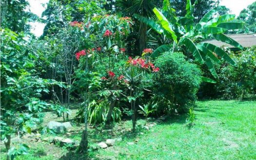 venta-lote-escazu-san-antonio