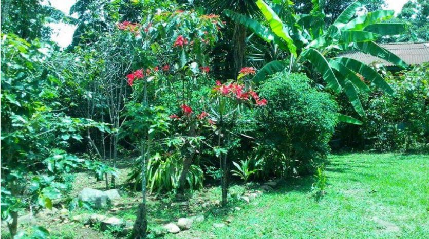 venta-lote-escazu-san-antonio