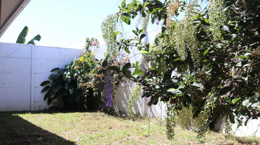 VENDE CASA DE 1 PLANTA EN EL ROBLE DE ALAJUELA- Patio