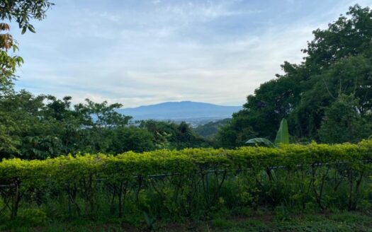 PRECIO SUPER REBAJADO! Viva en un espacio INCREIBLE en la ciudad pero con un Lote de finca! 2606m2 con casa de 200mts en Santa Ana COD #80496