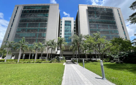 Se Alquila Oficina Amueblada de 150 m2 Para Centro de Trabajo en Centro Corporativo El Tobogán, Calle Blancos COD 112335