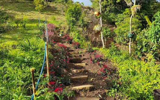 Quinta con construcción a un 65% de avance de obra en residencial de Quintas privado. Corralillo de Cartago. Cod 126016