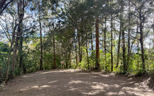 Quinta con construcción a un 65% de avance de obra en residencial de Quintas privado. Corralillo de Cartago. Cod 126016