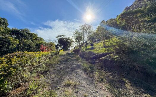 Quinta con construcción a un 65% de avance de obra en residencial de Quintas privado. Corralillo de Cartago. Cod 126016