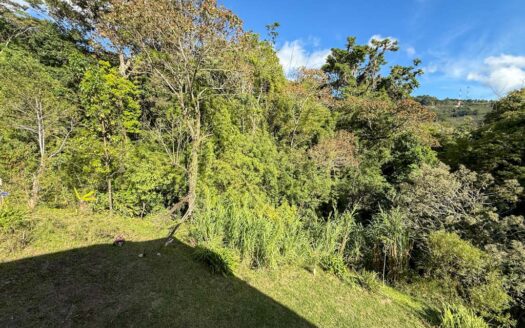 Quinta con construcción a un 65% de avance de obra en residencial de Quintas privado. Corralillo de Cartago. Cod 126016