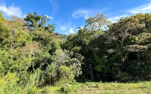 Quinta con construcción a un 65% de avance de obra en residencial de Quintas privado. Corralillo de Cartago. Cod 126016