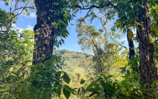 Quinta con construcción a un 65% de avance de obra en residencial de Quintas privado. Corralillo de Cartago. Cod 126016