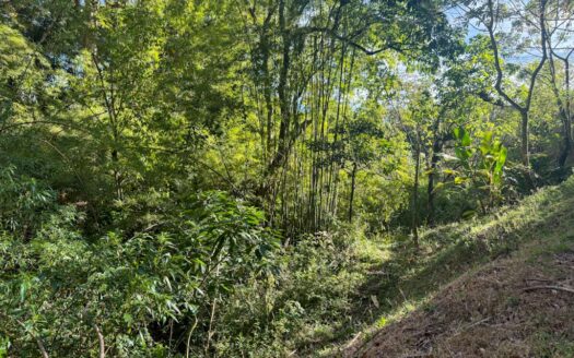 Quinta con construcción a un 65% de avance de obra en residencial de Quintas privado. Corralillo de Cartago. Cod 126016