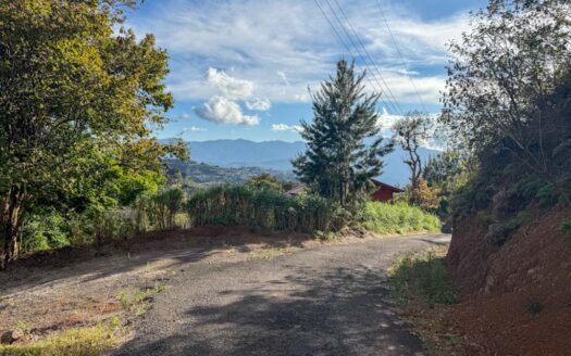 Quinta con construcción a un 65% de avance de obra en residencial de Quintas privado. Corralillo de Cartago. Cod 126016