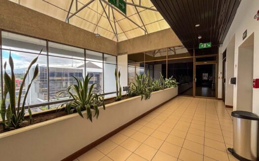 Oficina en Alquiler en San Pedro, Oficentro del Este, Ubicación Estratégica cod.125677