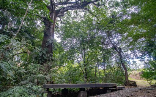 Lote en Venta 600 mts en San Rafael de Alajuela, en Condominio Privado junto a Ruta 27 COD:127084