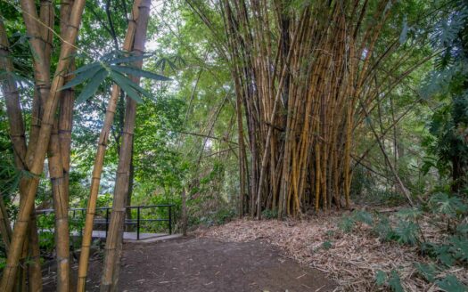 Lote en Venta 600 mts en San Rafael de Alajuela, en Condominio Privado junto a Ruta 27 COD:127084