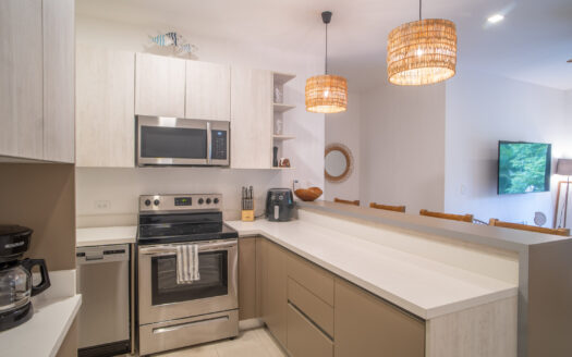 A Tropical Investment: Your Dream Hideaway in Guanacaste Awaits 🌊 Live Pura Vida: Turnkey Apartment Just Minutes from Tamarindo & Langosta Beaches.cod.126627