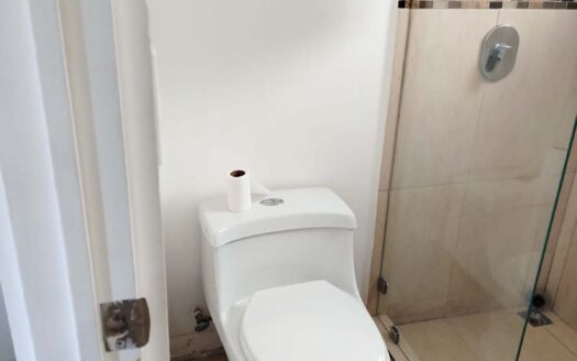 Alquiler Apartamento 2 Habitaciones, Mezzanine, 3 baños. Totalmente Amueblado. Código 130709