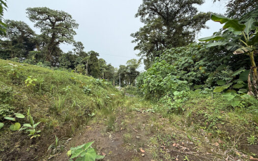 Hermosa Cabaña de Montaña, en Medio del Bosque Nuboso, Rodeado de Flora, Fauna y Paisajes en Cascajal de Coronado COD 131920