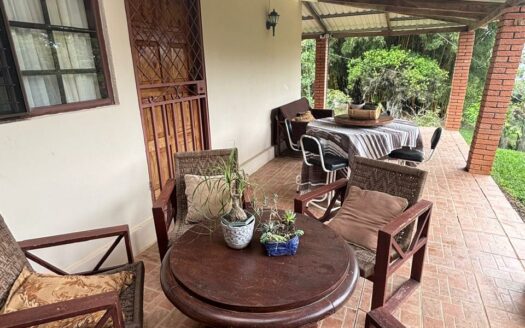 Oportunidad de Inversión: Propiedad de 49.000 m² en AguaCaliente, Cartago. Cod 134684