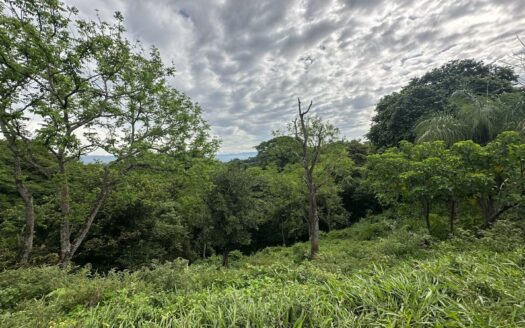 🌿 Oportunidad de Inversión: Hermoso Lote en ubicación estratégica de 98.323 m² en Turrúcares, Alajuela.COD:133341