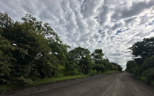 🌿 Oportunidad de Inversión: Hermoso Lote en ubicación estratégica de 98.323 m² en Turrúcares, Alajuela.COD:133341