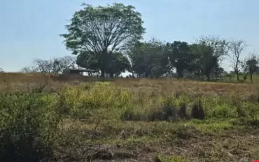 Lote de 10 963m2 en venta de topografía plana en la Garita,AlajuelaCOD:134002