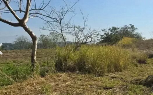 Lote de 10 963m2 en venta de topografía plana en la Garita,AlajuelaCOD:134002