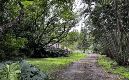 Venta de QUINTA de 9863m2 a 300 mts del cruce de Monolos La Garita, Alajuela.COD:134851