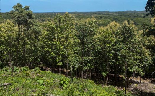 Spectacular Ocean View Lot near Hacienda Pinilla in Guanacaste COD:134288