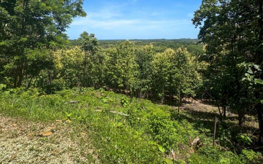 Spectacular Ocean View Lot near Hacienda Pinilla in Guanacaste COD:134288