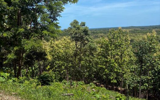 Spectacular Ocean View Lot near Hacienda Pinilla in Guanacaste COD:134288