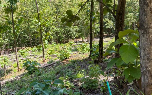 Spectacular Ocean View Lot near Hacienda Pinilla in Guanacaste COD:134288