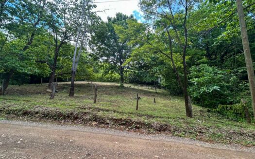 Lote listo para construir en Altos de Pinilla – Cerca a Tamarindo, Avellanas y Playa Negra COD: 134382