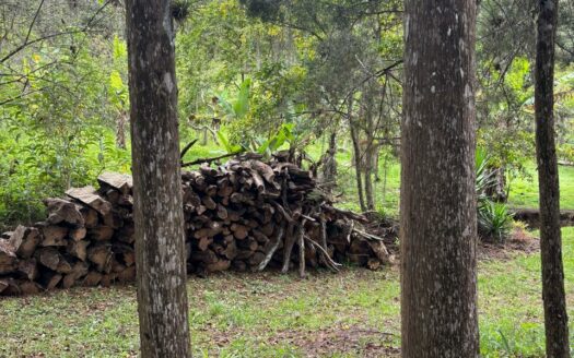 Oportunidad de Inversión: Propiedad de 49.000 m² en AguaCaliente, Cartago. Cod 134684