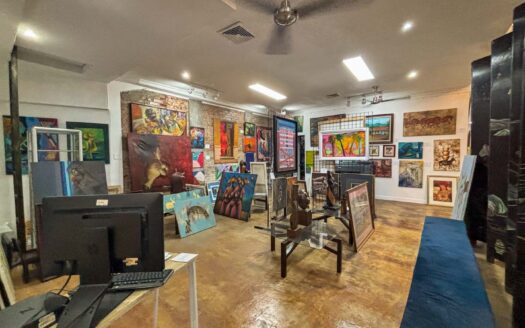 Propiedad Comercial en Venta – San Pedro de Montes de Oca. Cod.135136