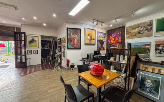 Propiedad Comercial en Venta – San Pedro de Montes de Oca. Cod.135136