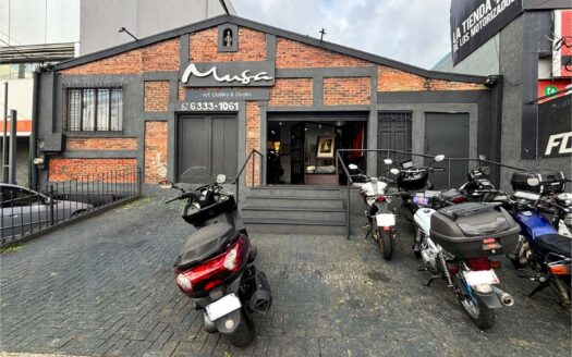 Propiedad Comercial en Venta – San Pedro de Montes de Oca. Cod.135136