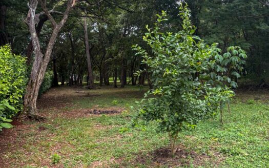 Lote de 5,280 m² en Comunidad de Lujo – Catalina Cove, a Pasos de Playa Brasilito COD:135470