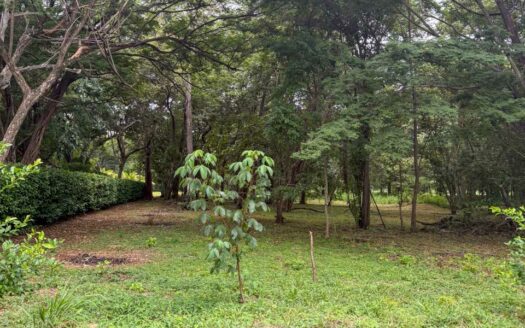 Lote de 5,280 m² en Comunidad de Lujo – Catalina Cove, a Pasos de Playa Brasilito COD:135470