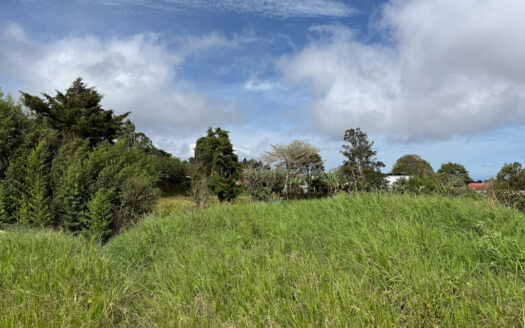 Lote de 2.682 m2 con Uso de Suelo Residencial en la Hermosa Zona de Platanares de Moravia COD 135946