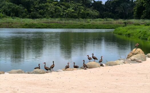 PREVENTA: TOWNHOUSES frente al lago en exclusivo proyecto desde $289,000.00 a minutos del mar en Playa Hermosa 🌊Cod. 137977