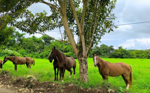 PREVENTA: TOWNHOUSES frente al lago en exclusivo proyecto desde $289,000.00 a minutos del mar en Playa Hermosa 🌊Cod. 137977