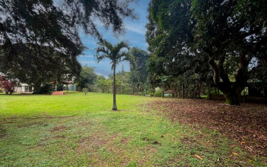 🏡 Venta de Lote de 986 m² en San Pedro – Montes de Oca cod. 136744