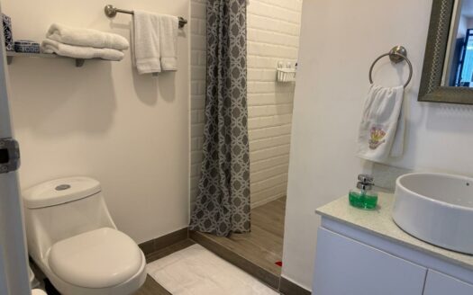 Preciosa y amplia Casa con apartamento independiente en Escazú a solo 800 m de Multiplaza Cód 138556