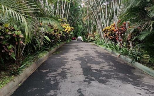 ¡USO DE SUELO MIXTO! Hermosa quinta en venta en El Roble con amplio terreno de 8.963 m2 y linda casa de una planta. COD. 138838